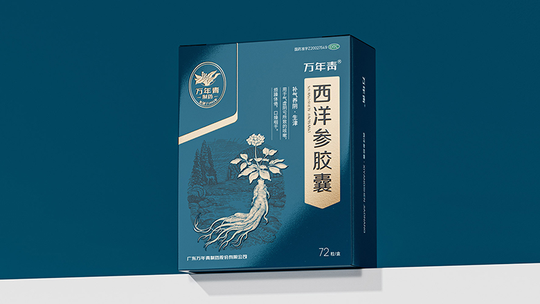 大型的茶葉盒包裝設計_美觀大方，實用性強